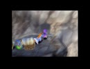 【実況】へっぽこアベル天空シリーズを時系列順にプレイ！最後はドラクエⅤ(ＰＳ２版）をプレイ30日目（フローラ編）