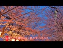 夜桜デート 歌ってみた【潤＿】