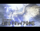 アカネちゃんの特別討究　リオレイア希少種