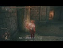 エルデンリング RMDライジングマストダイ侵入 Part 17