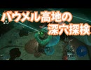 ゼルダの伝説　ティアーズ オブ ザ キングダム　実況プレイPart276