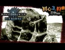 【モンハンワールド/MHW】突き刺さった痕跡を探す狩りの時間【初見マルチプレイ】