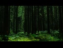 怪異 Strangeness 【BGM】