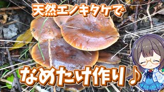 栽培ものと全然違う！？　天然エノキタケの"なめたけ"が美味♪