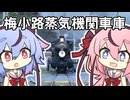 【きょうとてっぱくかんこー】何はなくとも走りましょう。番外走