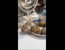 キウイみたいなハムスター