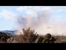 Co50 Altis PKO #3 -05