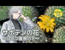 サボテンの花 （財津和夫） ／ ルノ （NEUTRINO）カバー