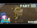 はじめまして！ドクトール…ロベリー！！【ゼルダの伝説 ブレス オブ ザ ワイルド】Part.１１３【#vtuber】