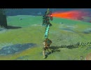 【ティアキン】依頼を受けて、めちゃつよゴーレム部隊を撃破してみた。全裸で【ドリカラ】【ボイスピ実況,ゼルダの伝説,ティアーズオブザキングダム,TotK,バグ,検証 】