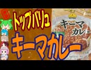 イオンの激安キーマカレー-イオンヤマモリトップバリュベストプライスキーマカレー[世界のグルメを食べ尽くせ！]
