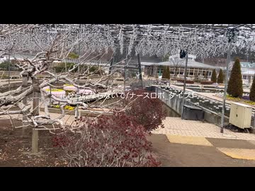 花びらにならないで/ナースロボ_タイプT