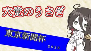 穴党のうさぎ 東京新聞杯　2025［VOICEVOX］