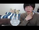 めじろう「彼女欲しいなぁ…」