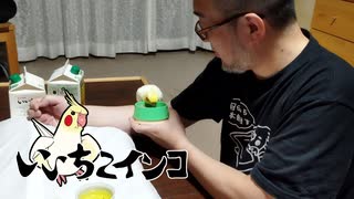 食事を促しながら飼育について語ります・その2（2021年1月14日の様子）