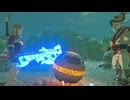 【ブレワイ】依頼を受けて、宝珠イベントの時に武器を持ったままになってみた【ドリカラ】【ボイスピ実況,ゼルダの伝説,ブレスオブザワイルド,BotW,バグ,検証 】