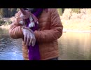 開き直れば、自殺せずに生きられる！ (360p)