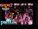 今度はドンキーとディディーを探せ！【スーパードンキーコング3実況part12】