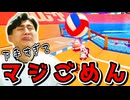 まじでバレーフォールが下手すぎて仲間にごめんなさい【フォールガイズ】