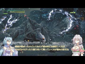 ベータテストであそぼ♡【MHワイルズ】