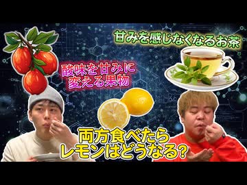 【実験】すっぱさを甘さに変える「ミラクルフルーツ」と、甘さを感じなくなる「ギムネマ茶」両方食べて「レモン」を食べたらどうなる？