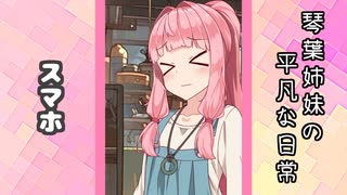 琴葉姉妹の平凡な日常 223『ここは何屋さん？⑬』【VOICEROID劇場】