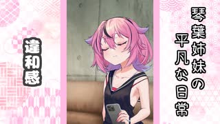 琴葉姉妹の平凡な日常 227『ヒメのスマホ②』【VOICEROID劇場】