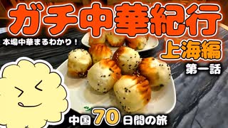 【ガチ中華】本場中華を食べ続ける！ 上海編 第一話 【中国70日間の旅】正宗中国菜游记 第一集 回到上海 生煎馒头 小馄饨 大馄饨