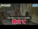 【ゼルダの伝説BotW】初めてのブレワイ！折れない心で未知の世界へ！#25【実況】