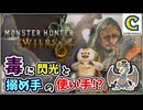 毒に閃光にと搦め手の達人！？第2回オープンベータテスト追加モンスターのゲリョスの狩猟に挑みます！！【モンスターハンターワイルズ オープンベータテスト】 CCJP むーぽん