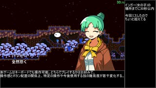 【RTA】MOMIBOSU Any% 34:41 解説付