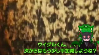 もみじ日記25「記者会見！？ウイグルの誤情報ごめんなさいでしたンゴ！( `ᾥ’ )」