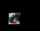 pingu lenha