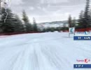 ski skiado