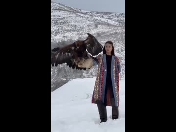 ホモと見る着地に失敗して女に八つ当たりするワシ