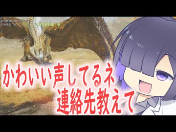 新モンスターに変な人が変なテンションで変なことを言う動画