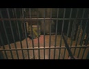 【 BIOHAZARD VILLAGE-バイオハザード ヴィレッジ-】 #07
