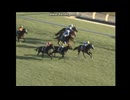 2010 共同通信杯(GIII)　ハンソデバンド