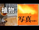 アンソタイプという印画法で写真を撮る【VOICEVOX】【春日部つむぎ】