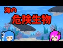 【VOICEROID解説】ゆかり先輩と見る危険生物【海編⑯】