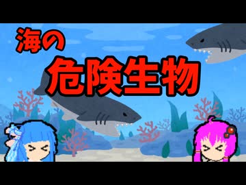 【VOICEROID解説】ゆかり先輩と見る危険生物【海編⑯】