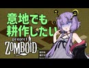【雑検証】B42バグり散らかしてても耕作したい【ProjectZomboid】