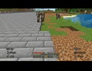 【マインクラフト】ソロクラ #173