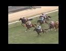 2009 京都記念(GII)　アサクサキングス