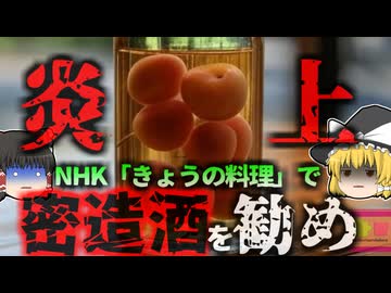 【2007年】NHK『簡単に作れるみりん梅酒おすすめです』→酒税法違反の疑いで非難*到し大炎上 家庭では何故果実酒造りが許されている？法律の例外規定とは【ゆっくり解説】