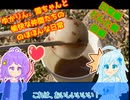 【VOICEROID】【VOICEVOX】ゆかりん、雪ちゃんと愉快な仲間たちの、のほほんな日常　どんと焼きに行く　前編