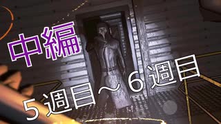 とあるカンパニー職員による記録映像-中編-