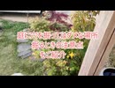 庭の穴掘りはリスク大！？安全に穴を掘って外構DIYする方法を、外構を全てDIYした設計士が解説【植栽_木_柱_基礎_カーポート_小屋_フェンス】