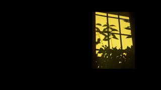 ｢ヨルシカ/斜陽｣ アカペラで歌ってみた。