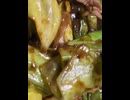 76105065975__FB7D6D12-E9C1-415E-8991-1604A9A40DDD